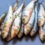 sardines superfoods for dogs