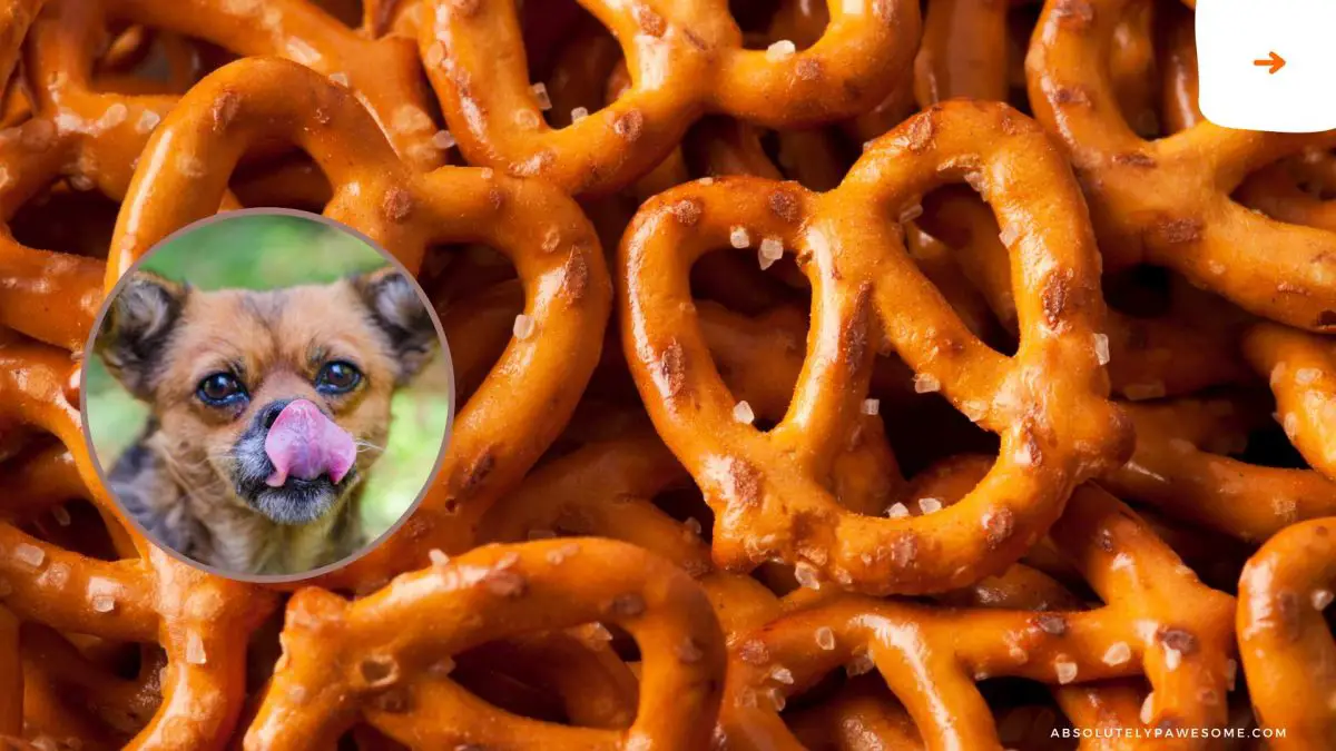 can dogs have pretzels