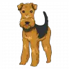 airedale terrier image